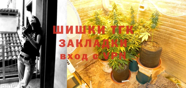 крисы Кулебаки