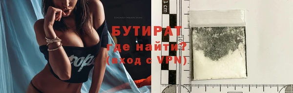 крисы Кулебаки