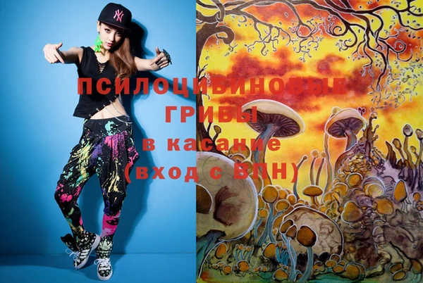 крисы Кулебаки
