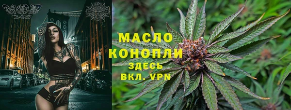 крисы Кулебаки