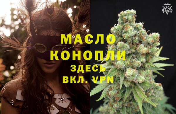 крисы Кулебаки