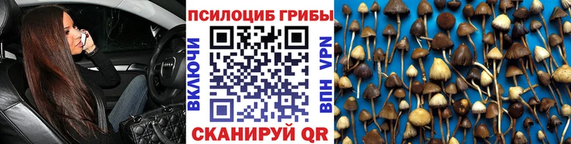 купить наркоту  Сызрань  Псилоцибиновые грибы Psilocybine cubensis 