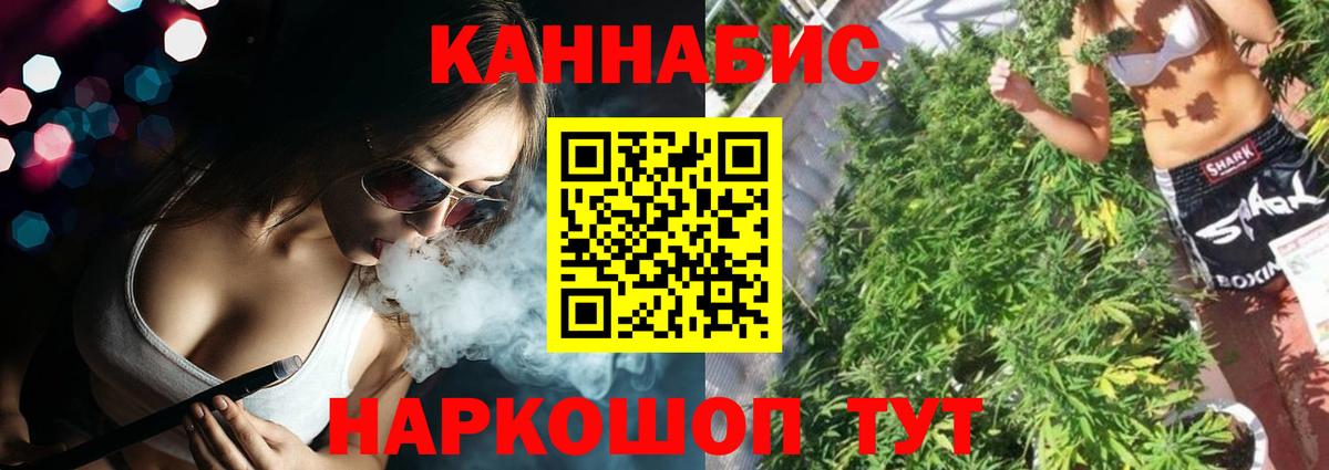 Бошки Шишки гибрид  Конопля сатива  Сызрань  Вход с VPN  Шишки марихуана MAZAR  Марихуана семена 